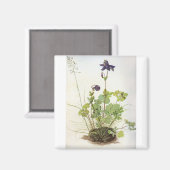 Alkelei-Blume - Albrecht Durer - C1500 Magneet (Voorkant / Achterkant)