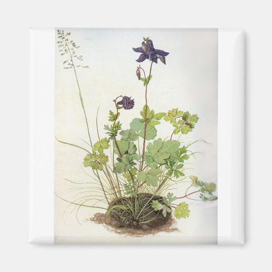 Alkelei-Blume - Albrecht Durer - C1500 Magneet (Voorkant)
