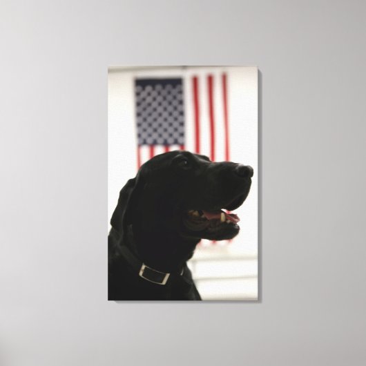 All-American Black Labrador Retriever Canvas Afdruk (Voorkant)