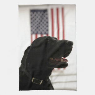 All-American Black Labrador Retriever Theedoek