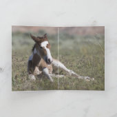 All Legs Wild Horse Wenskaart Kaart (Binnen)