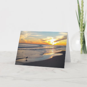 All Occasion Card - Blanco binnenzijde Feestdagen Kaart