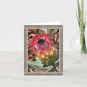 All-Occasion Note Card met prachtige Protea Notitiekaartje