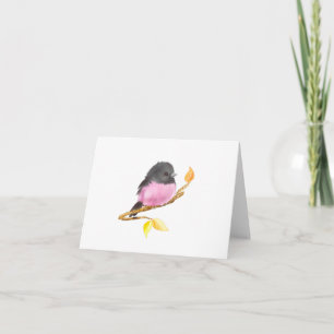 All Occasion Pink Robin Bird Blank Folded Kaart