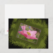 All Occasion Pretty Pink Poppy-foto Briefkaart (Voorkant / Achterkant)