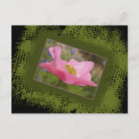 All Occasion Pretty Pink Poppy Foto