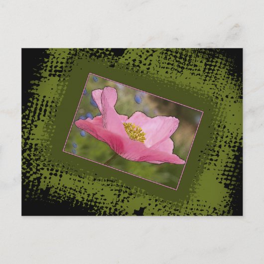 All Occasion Pretty Pink Poppy-foto Briefkaart (Voorkant)