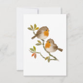 All Occasion Robin Birds Note Card Bedankkaart (Voorkant)