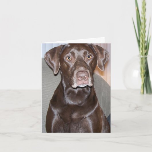  All-Occasion Wenskaart Kaart (Voorkant)