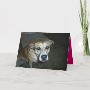 All Occasion Wenskaart van Hond naar Meester Feestdagen Kaart