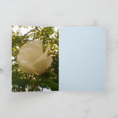 All Occasion White Rose Kaart (Binnen)