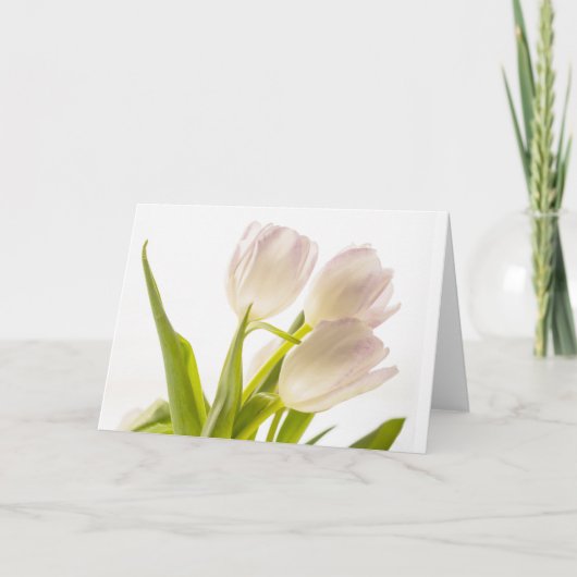 All-Occasion Witte Tulpen Kaart (Voorkant)