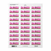 All Pink Rose Bud Retouradreslabel Etiket (Full Sheet)