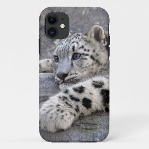 All Played Out iPhone 5 Case-Mate Hoes