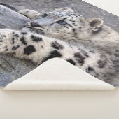 All Played Out Sherpa-deken Sherpa Deken (3/4)