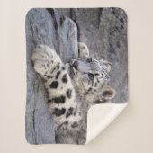 All Played Out Sherpa-deken Sherpa Deken (Voorkant)