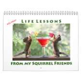 All Star Squirrel Calendar - New Life Lessons Kalender (Hoes)