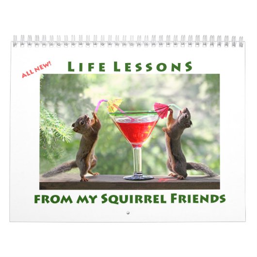 All Star Squirrel Calendar - New Life Lessons Kalender (Hoes)