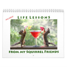 All Star Squirrel Calendar - New Life Lessons Kalender