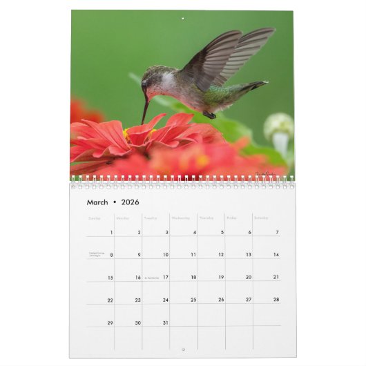 All the Buzz 2026 Calendar Kalender (Mar 2026)