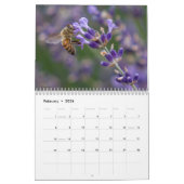 All the Buzz 2026 Calendar Kalender (Feb 2026)