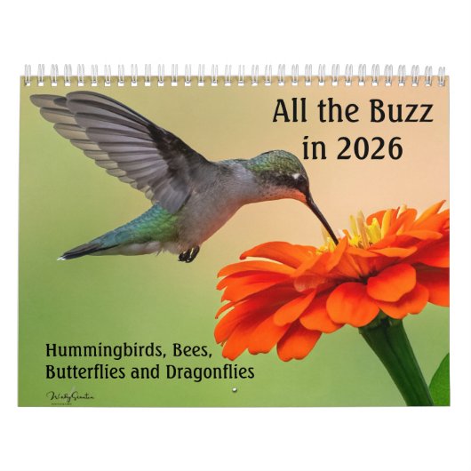 All the Buzz 2026 Calendar Kalender (Hoes)
