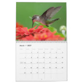 All the Buzz 2026 Calendar Kalender (Mar 2027)