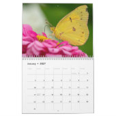 All the Buzz 2026 Calendar Kalender (Jan 2027)