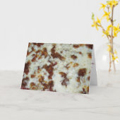 "All Vat" haal wel Kaart (Gele Bloem)