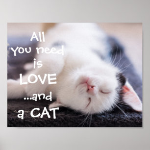 All You Need Is Love...en een kat / keuken Poster