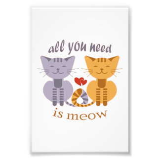 All you need is meow Valentine cats Foto Afdruk