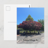 Allaire Village NJ Briefkaart (Voorkant / Achterkant)