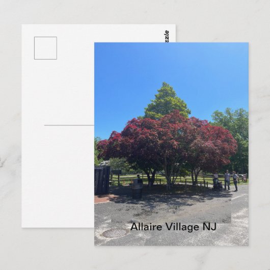 Allaire Village NJ Briefkaart (Voorkant / Achterkant)