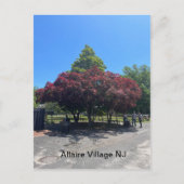 Allaire Village NJ Briefkaart (Voorkant)
