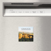 allambra granada magneet (Insitu (Vaatwasser))