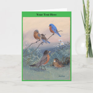 Allan Brooks Birds no1 Bedankkaart