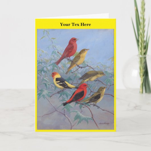 Allan Brooks Birds no3 Bedankkaart (Voorkant)