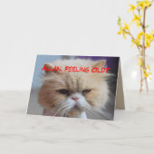 Allan Brother Birthday Persian Cat Humor
 Kaart (Gele Bloem)