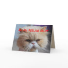 Allan Brother Birthday Persian Cat Humor

