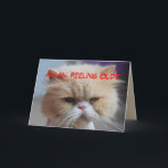 Allan Brother Birthday Persian Cat Humor
 Kaart<br><div class="desc">Allan Brother Birthday Persian Cat Humor Card.

 Je kunt deze kaart personaliseren door naam of tekst eraan toe te voegen. Deze Perzische kat is erg empathisch.

 "Forget it!
 You look Meow-velous!
 (All all,  you are related to me!)
 Happy Birthday to a Great Brother!</div>