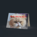 Allan Brother Birthday Persian Cat Humor
 Kaart<br><div class="desc">Allan Brother Birthday Persian Cat Humor Card.

 Je kunt deze kaart personaliseren door naam of tekst eraan toe te voegen. Deze Perzische kat is erg empathisch.

 "Forget it!
 You look Meow-velous!
 (All all,  you are related to me!)
 Happy Birthday to a Great Brother!</div>