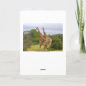 Allan "Go Wild" Happy Birthday Giraffes Kaart (Achterkant)