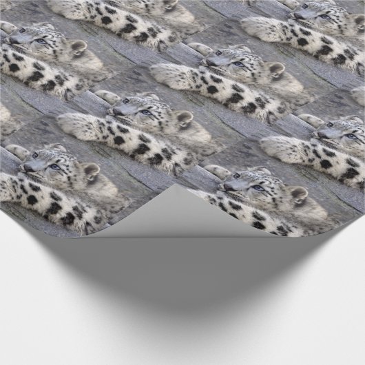 Alle afgespeeld papier voor opvulling (Hoek)