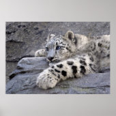 Alle afgespeelde afdrukken poster (Voorkant)