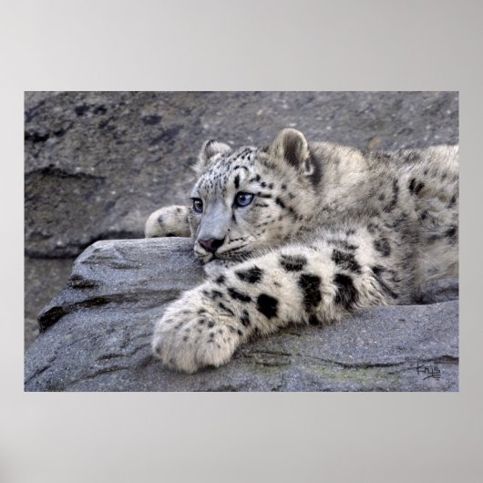 Alle afgespeelde afdrukken poster (Voorkant)