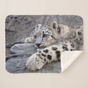 Alle afgespeelde Sherpa Blanket Deken