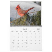 Alle agenda voor kardinalen kalender (Mar 2027)