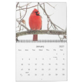 Alle agenda voor kardinalen kalender (Jan 2027)