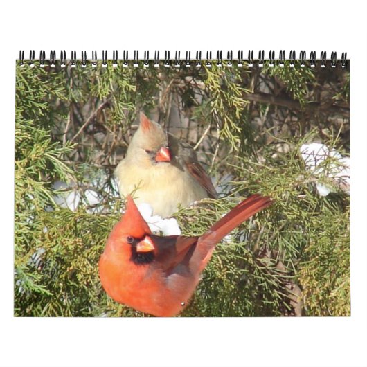 Alle agenda voor kardinalen kalender (Hoes)