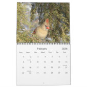 Alle agenda voor kardinalen kalender (Feb 2026)